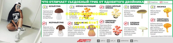 тгк Гусев