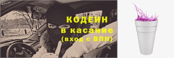 тгк Гусев